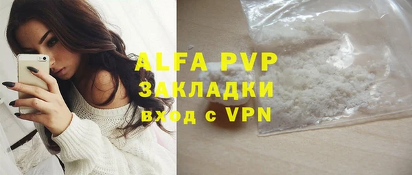 хмурый Аркадак