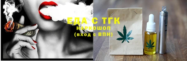 хмурый Аркадак