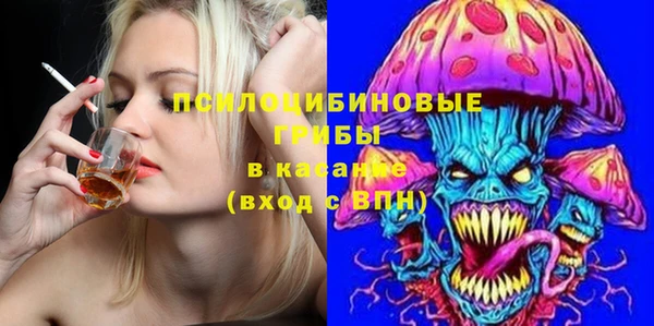 хмурый Аркадак