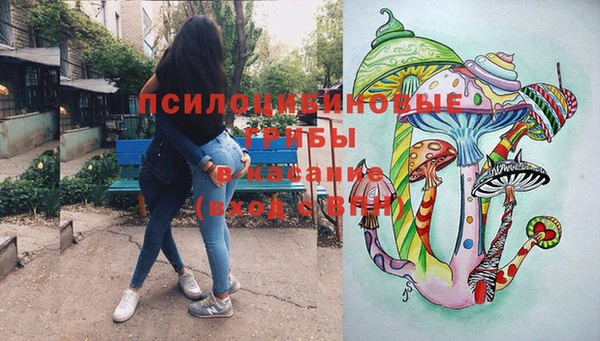 хмурый Аркадак