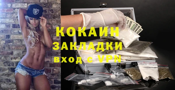 хмурый Аркадак