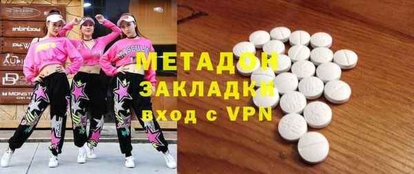 хмурый Аркадак